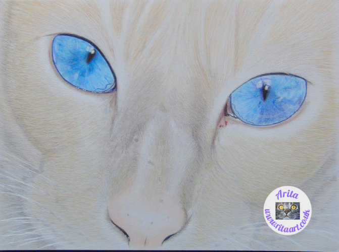 Minoux sadly missed by Christine