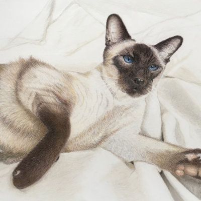 Chocky, Colour Pencil