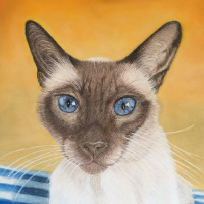 Our rescue Boy in CP