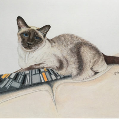 Chocky, Colour pencil
