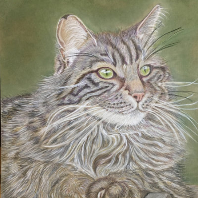 Tiggy, Colour pencil