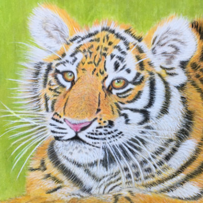 Tiger Cub, mixed media on 23x30.4 cm(9 x 12inch) Mixed media card