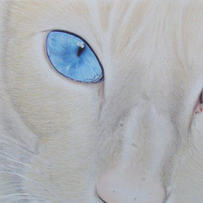 Minoux, Colour pencil