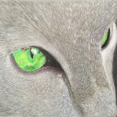 Yeti, Colour pencil