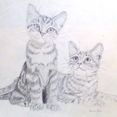 Kittens -HB Pencil