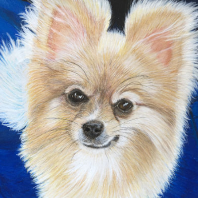 Charlie, Colour pencil