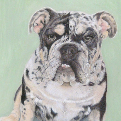 Complex example Delilah Complex example Delilah