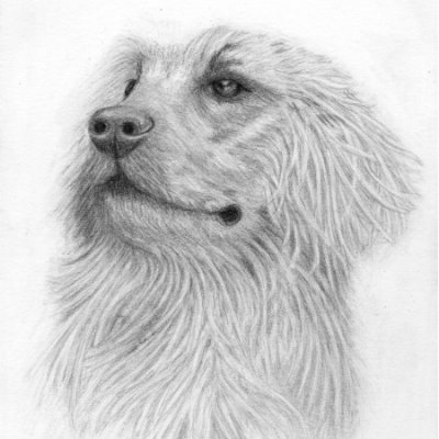 Molly, Graphite