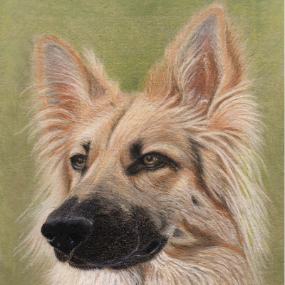 My friends boy Sam in  Colour pencil