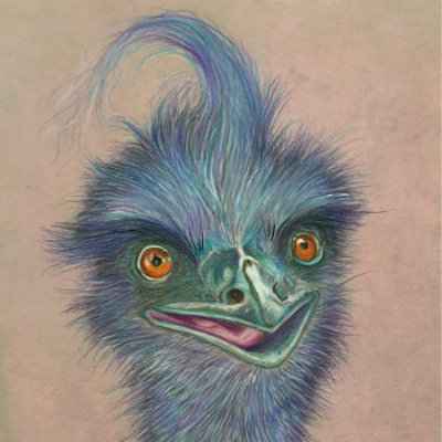 quick example of a blue emu in colour pencil