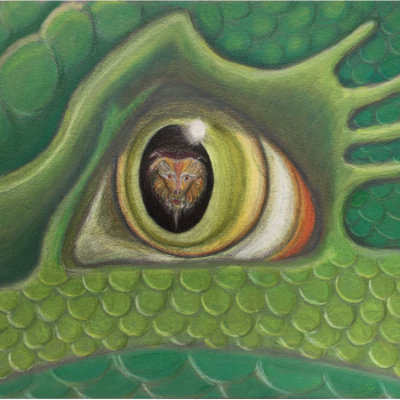 Dragon Standoff, Colour pencil