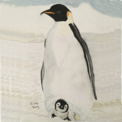 King Penguin Acrylic on 23x30.4 cm(9 x 12inch) Mixed media card