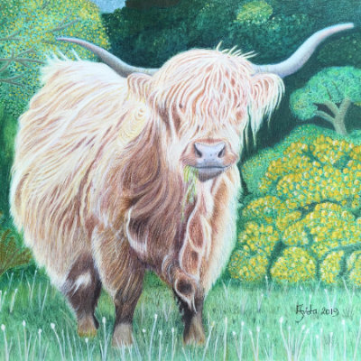 Highland Cow, Mixed Media on 23x30.4 cm(9 x 12inch) Mixed media card
