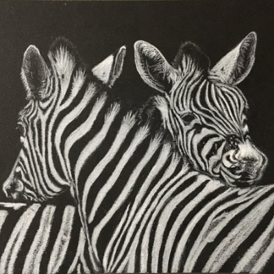 Zebra Luminance 6901 & Stabilo 6502 Mono White Pencil on Black Paper