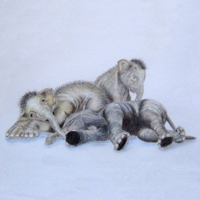 Baby Elephants, mixed media on 23x30.4 cm(9 x 12inch) Mixed media card