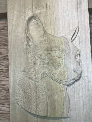 Romeo 3D carving in tulip wood then painted with water colour pencil and acrylics